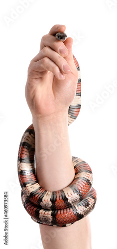 Hand of owner with red king...