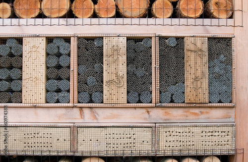 Insektenhotel 6 photo