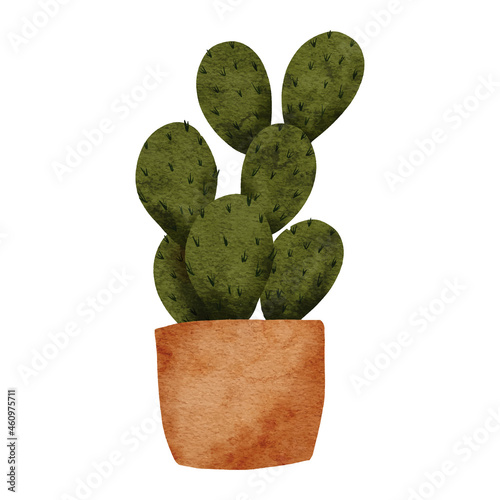 cactus succulent on pot plant watercolor illustration