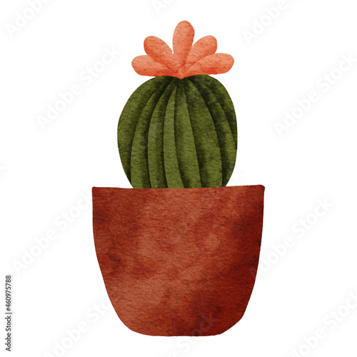cactus pot houseplant watercolor painted illustration