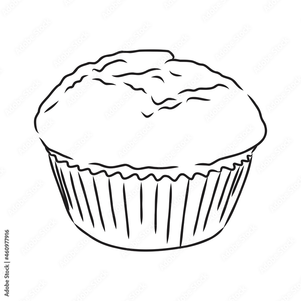 drawing of a cup cake cupcake vector sketch drawing of a cup cake cupcake vector sketch