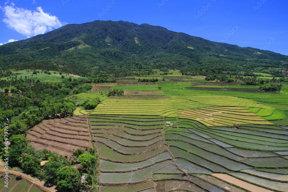 Terraced rice paddies in the Philippines