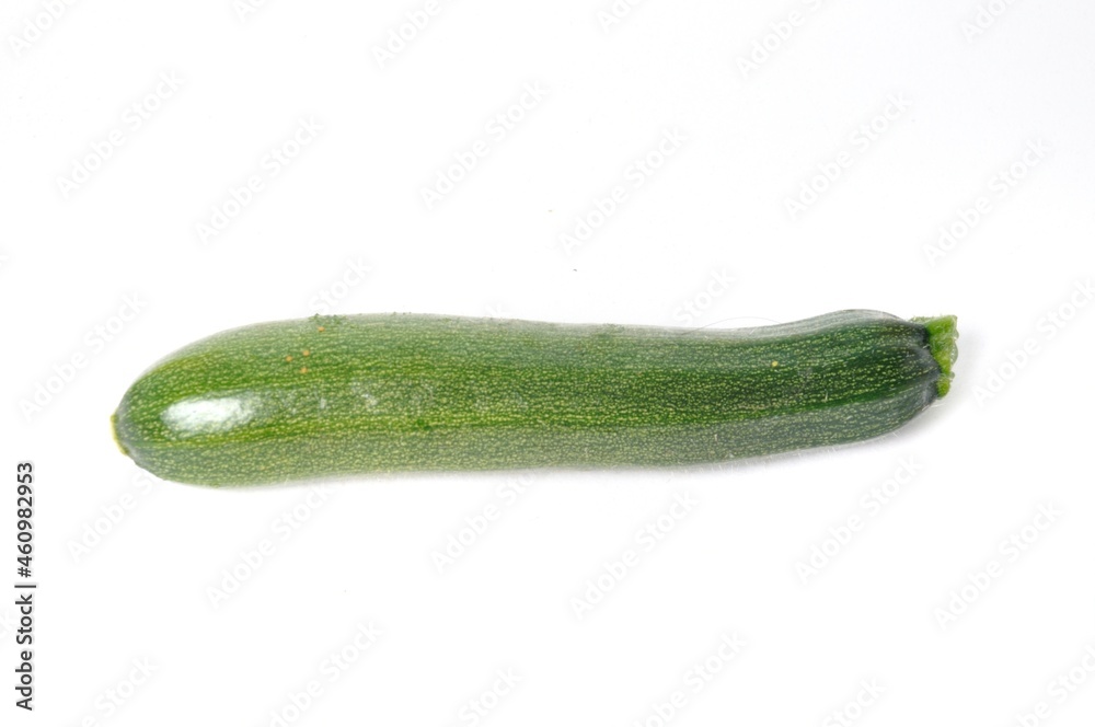 Zucchini in bloom on a white background