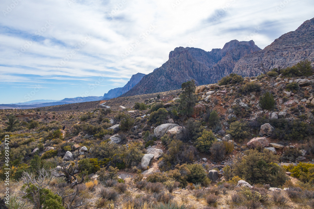Fototapeta premium Hiking trail in Red Rock Canyon, Nevada, USA
