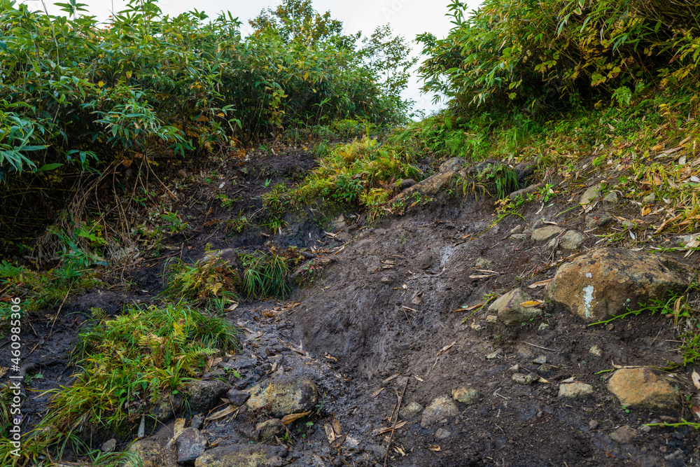 宮城県栗原市、秋田県湯沢市、雄勝郡東成瀬村、岩手県一関市にある栗駒山を紅葉の時期に登山する風景A view of climbing Mt. Kurikoma in Kurihara City, Miyagi Prefecture, Yuzawa City, Akita Prefecture, during the autumn foliage season.
