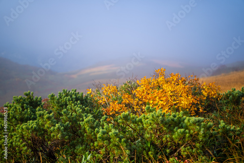                                                                                                                                              A view of climbing Mt. Kurikoma in Kurihara City  Miyagi Prefecture  Yuzawa City  Akita Prefecture  during the autumn foliage season.