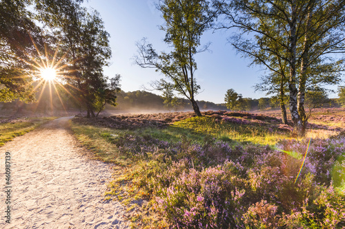 Sun rising over empty dirt road in Fischbeker Heide reserve