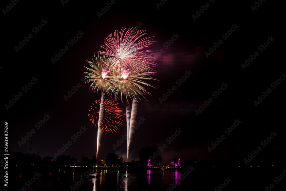 Fireworks with beautiful colorful flowers on a dark sky background.