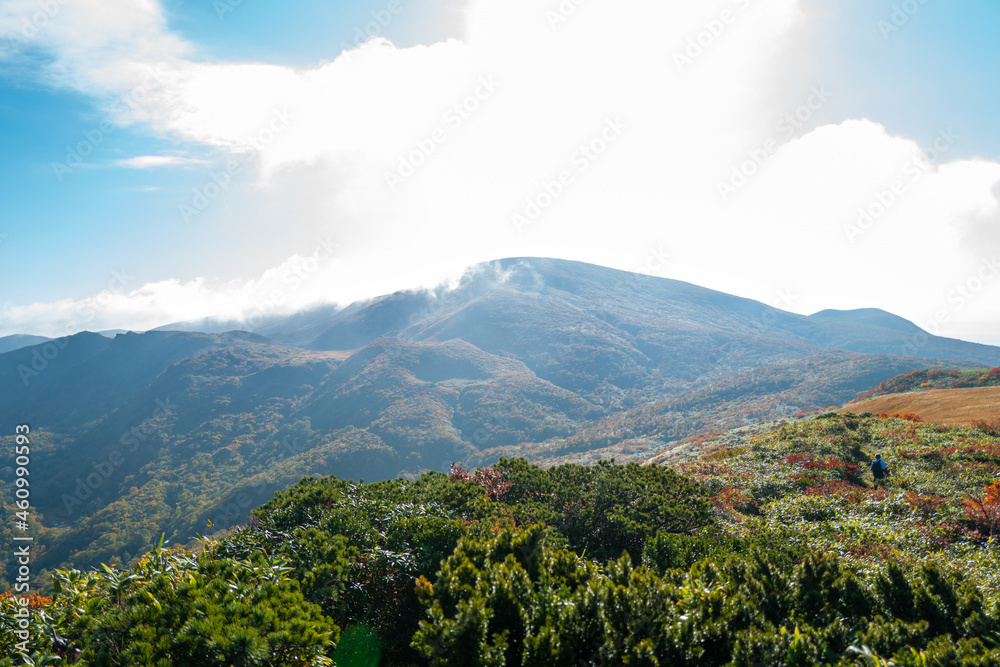 Fototapeta premium 宮城県栗原市、秋田県湯沢市、雄勝郡東成瀬村、岩手県一関市にある栗駒山を紅葉の時期に登山する風景A view of climbing Mt. Kurikoma in Kurihara City, Miyagi Prefecture, Yuzawa City, Akita Prefecture, during the autumn foliage season.