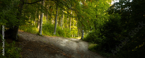 Panorama of a trail in sunn...