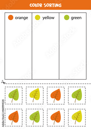 Sort autumn leaves by colors. learning colors for children.