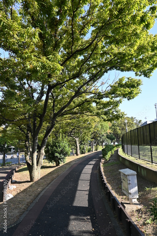 公園を散歩