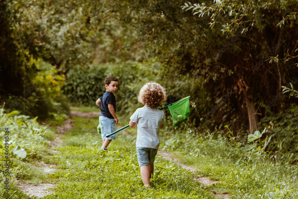 Boys collecting pears in fishing net while walking on grass in forest Boys collecting pears in fishing net while walking on grass in forest