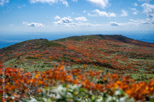 宮城県栗原市、秋田県湯沢市、雄勝郡東成瀬村、岩手県一関市にある栗駒山を紅葉の時期に登山する風景A view of climbing Mt. Kurikoma in Kurihara City, Miyagi Prefecture, Yuzawa City, Akita Prefecture, during the autumn foliage season.