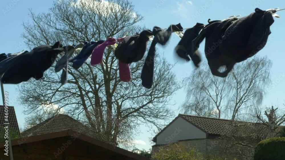 Wet laundry garments blowing dry on a washing line in early spring, with bare trees, rooftops and blue sky in the background.