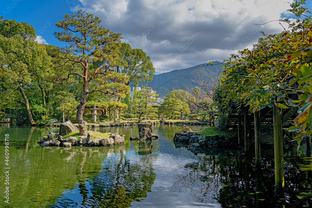 Fototapeta premium 愛媛 宇和島 天赦園 太鼓橋の藤棚