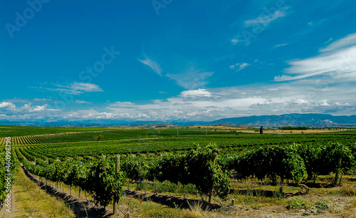 Viñedos del área de cultivo del Somontano con D.O. del mismo nombre, que tiene como centro la localidad de Barbastro, Huesca, Aragón.