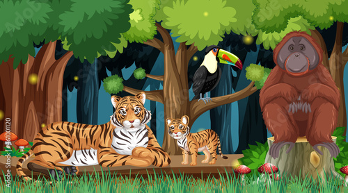 Photography Wild animals in forest landscape background