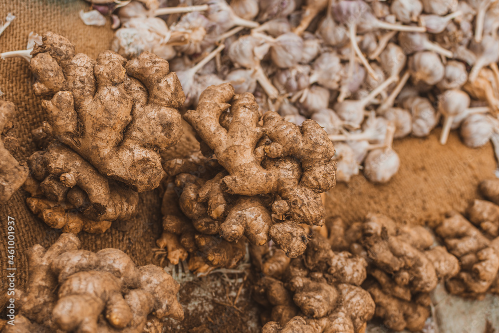 close up of a pile of roots / Gingember 