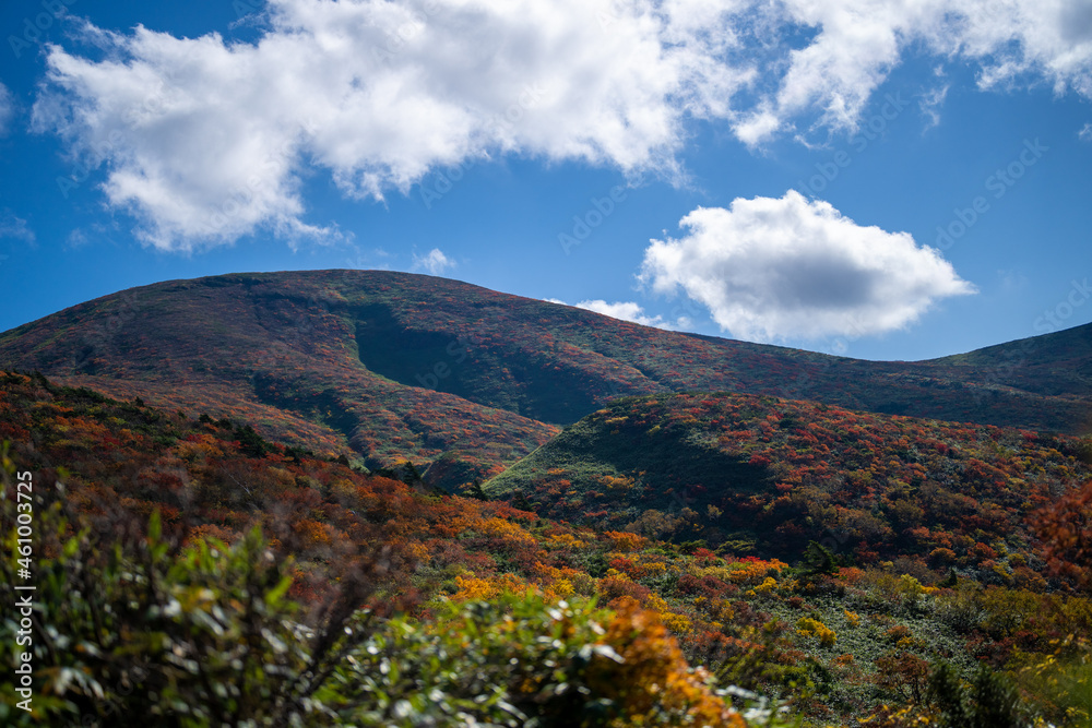 Naklejka premium 宮城県栗原市、秋田県湯沢市、雄勝郡東成瀬村、岩手県一関市にある栗駒山を紅葉の時期に登山する風景A view of climbing Mt. Kurikoma in Kurihara City, Miyagi Prefecture, Yuzawa City, Akita Prefecture, during the autumn foliage season.