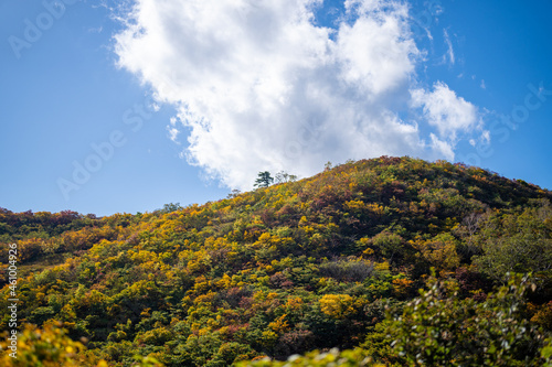 宮城県栗原市、秋田県湯沢市、雄勝郡東成瀬村、岩手県一関市にある栗駒山を紅葉の時期に登山する風景A view of climbing Mt. Kurikoma in Kurihara City, Miyagi Prefecture, Yuzawa City, Akita Prefecture, during the autumn foliage season.