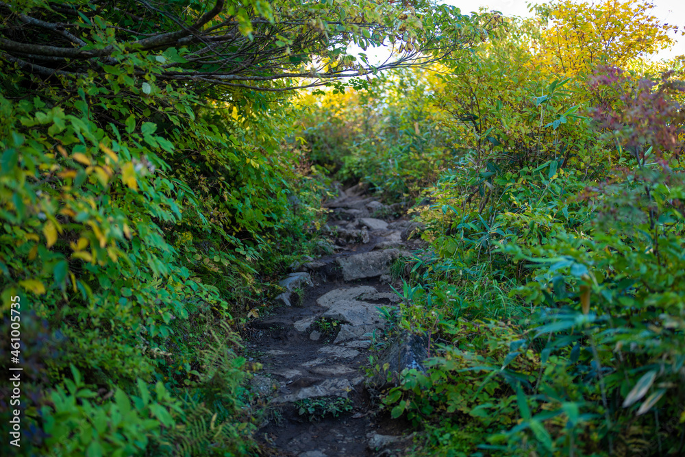 宮城県栗原市、秋田県湯沢市、雄勝郡東成瀬村、岩手県一関市にある栗駒山を紅葉の時期に登山する風景A view of climbing Mt. Kurikoma in Kurihara City, Miyagi Prefecture, Yuzawa City, Akita Prefecture, during the autumn foliage season.