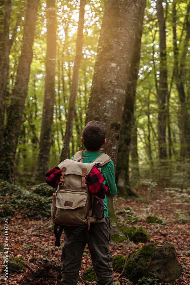 Boy hiking in beech forest with vintage backpack on his back.
Lifestyle, adventure, childhood