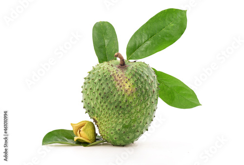 Canvastavla Soursop or Annona muricata fruit ,flower and green leaf isolated on white background with clipping path