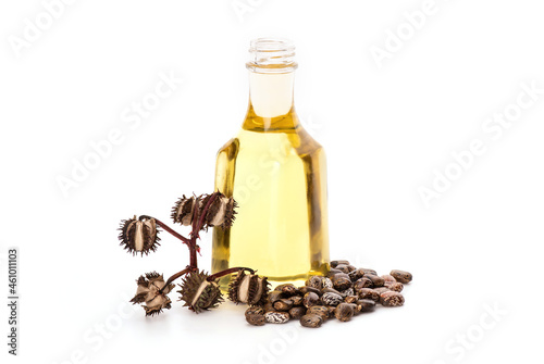 Ricinus communis or castor fruits,seeds and oil isolated on white background.
