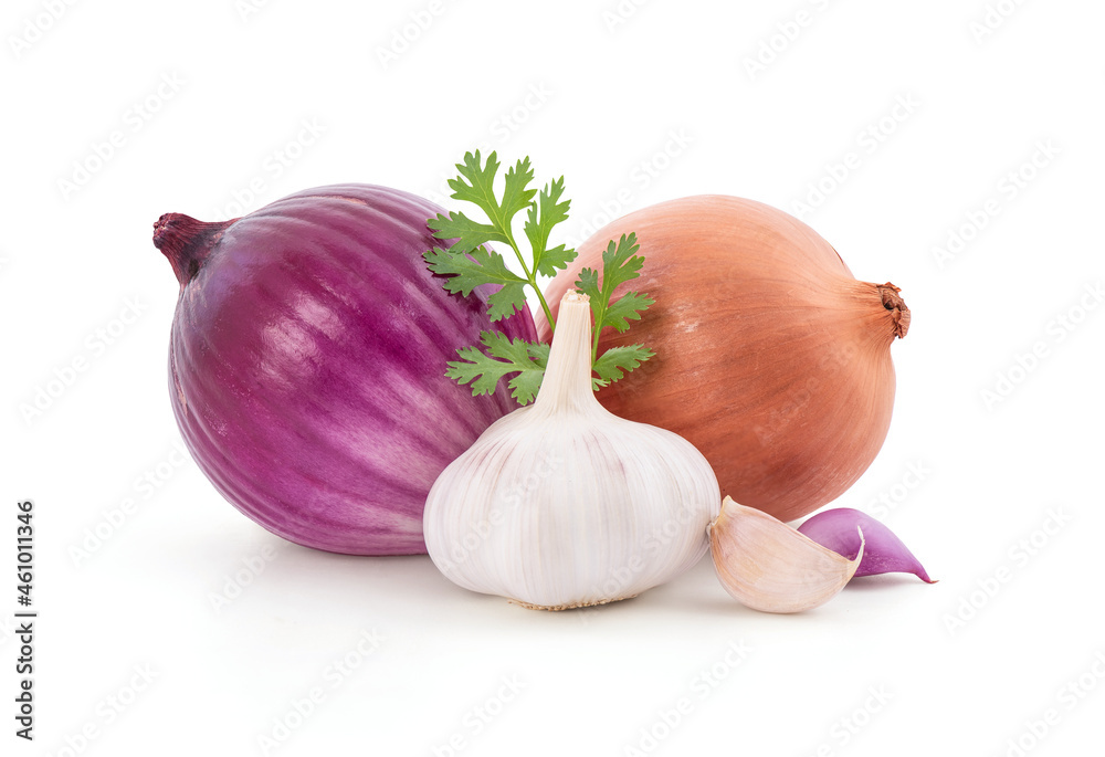 Coriander, garlic, onion and red onion isolated on white background.