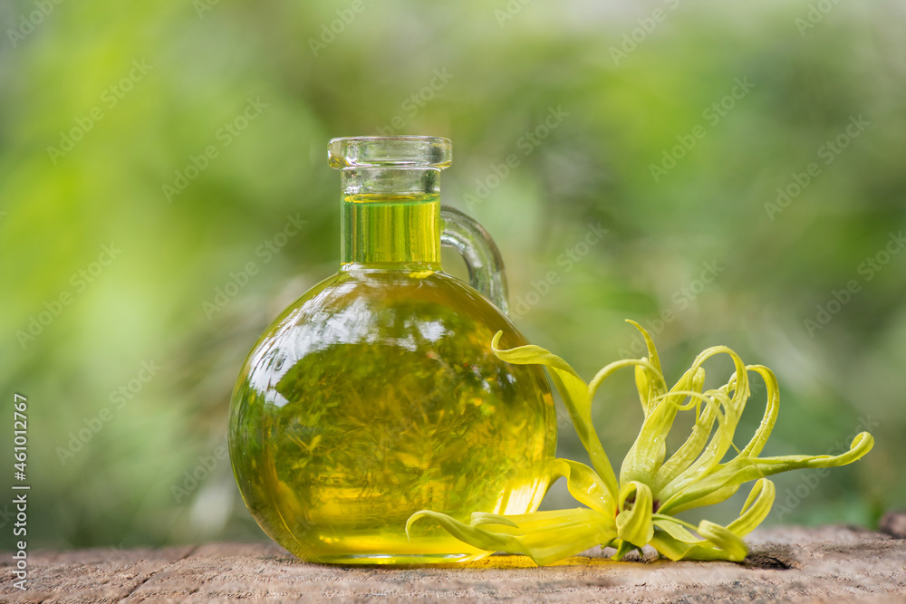 Ylang-ylang or cananga odorata flower and oil on nature background. Ylang-ylang or cananga odorata flower and oil on nature background.