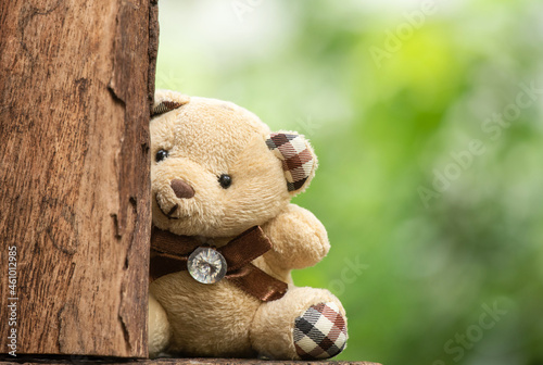 Cute and old teddy bear hiding behind an old log and on nature background.