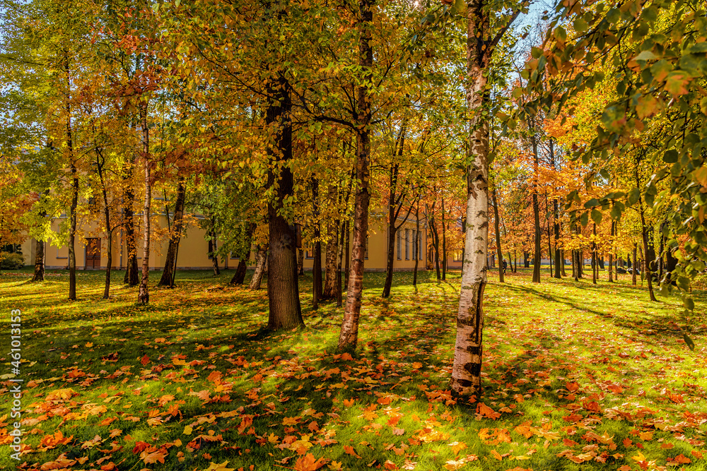 Beautiful cozy autumn landscape, a park with colorful leaves on a sunny day