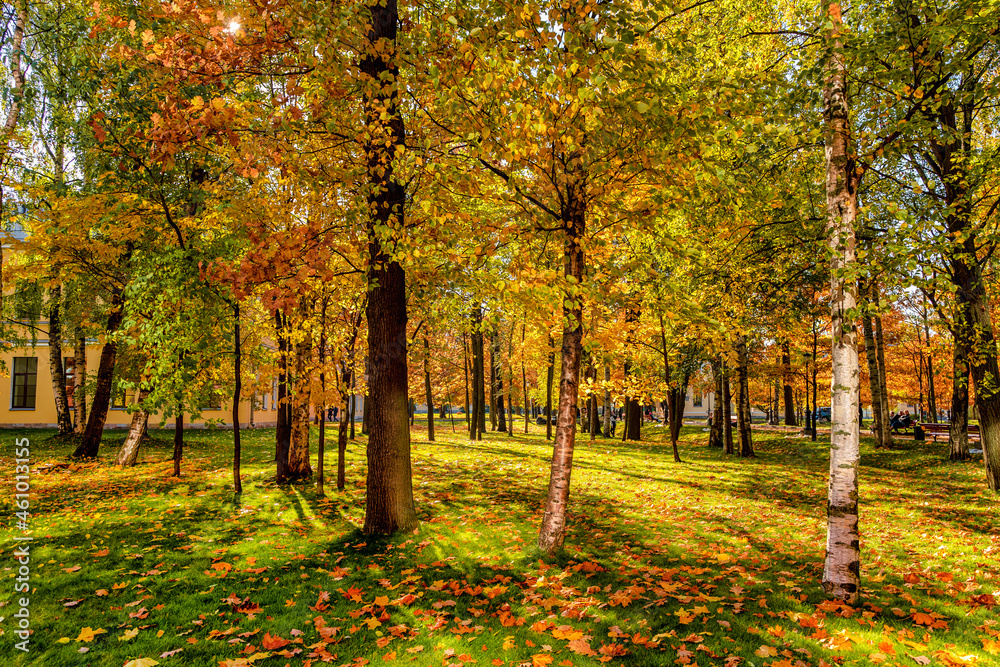 Beautiful cozy autumn landscape, a park with colorful leaves on a sunny day Beautiful cozy autumn landscape, a park with colorful leaves on a sunny day