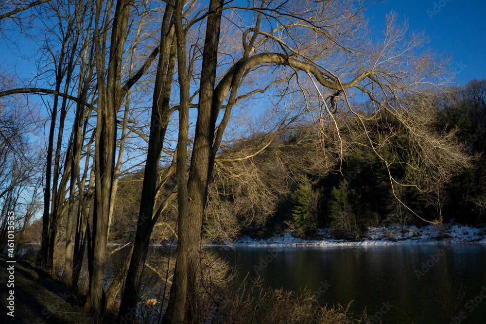 River valley and trees River valley and trees
