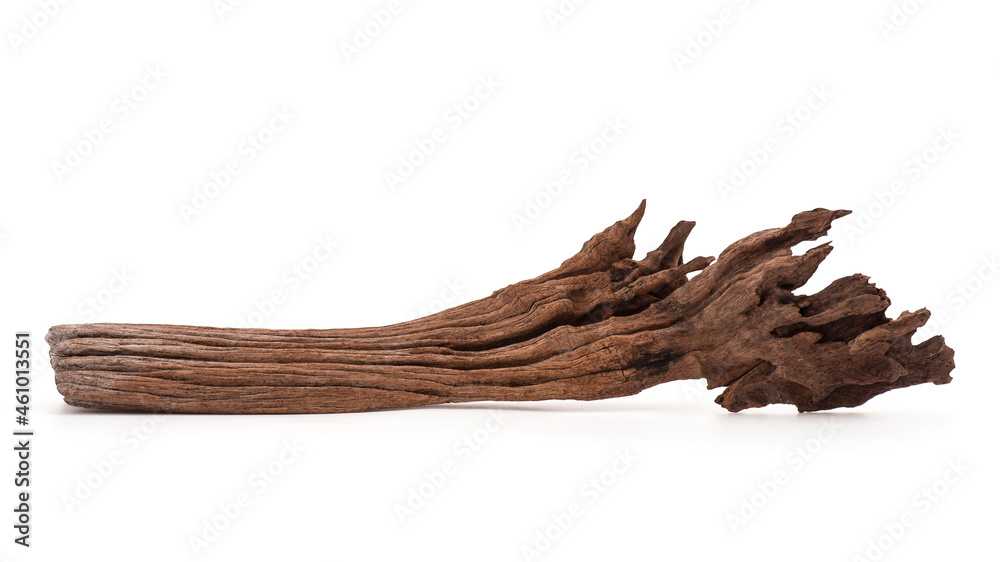 Old wood isolated on white background. Old wood isolated on white background.