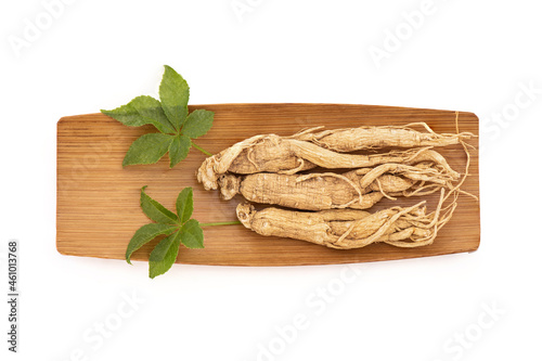 Ginseng and eleutherococcus trifoliatus green leaf on nature background with clipping path. photo