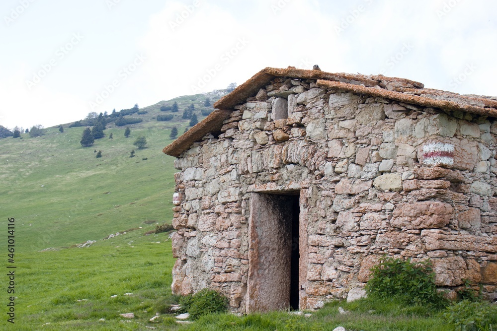 Obraz premium Marmota marmota House, Marmot, Monte Varagna, Lago di Garda, Trentino, Italy