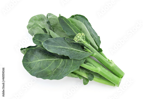 Chinese broccoli or brassica oleracea vegetable isolated on white background with clipping path.