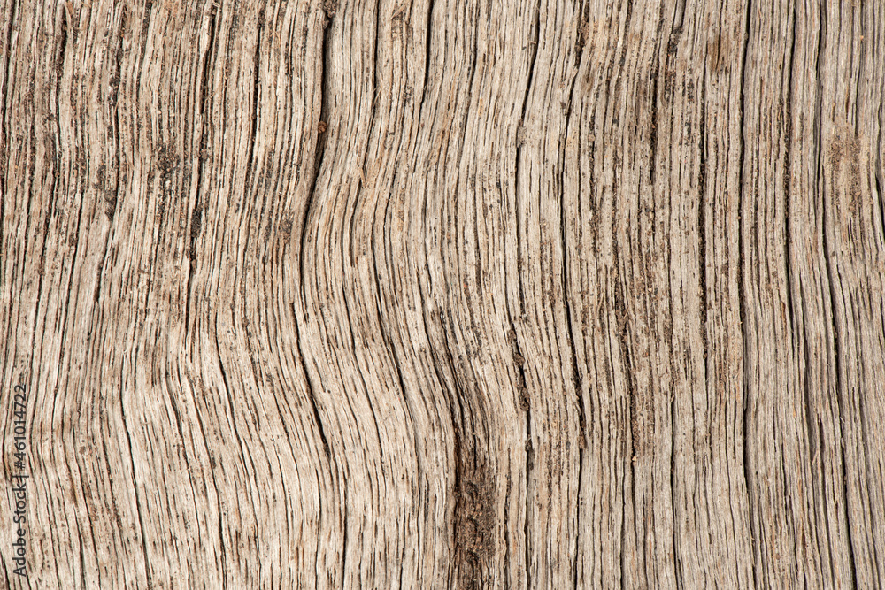 Old plank wood isolated on white background. Old plank wood isolated on white background.