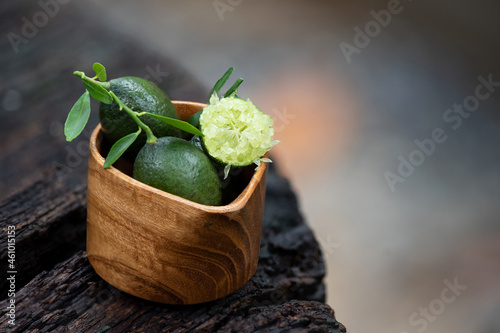 Finger Lime fruits, green leaves on nature background. photo