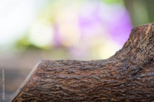 Old plank wood on bokeh nature background.