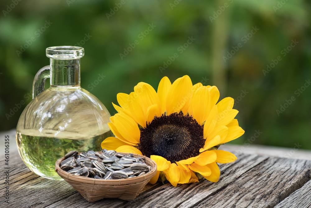Sunflower and oil on nature background. Sunflower and oil on nature background.