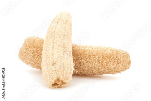Dried loofah isolated on white background.