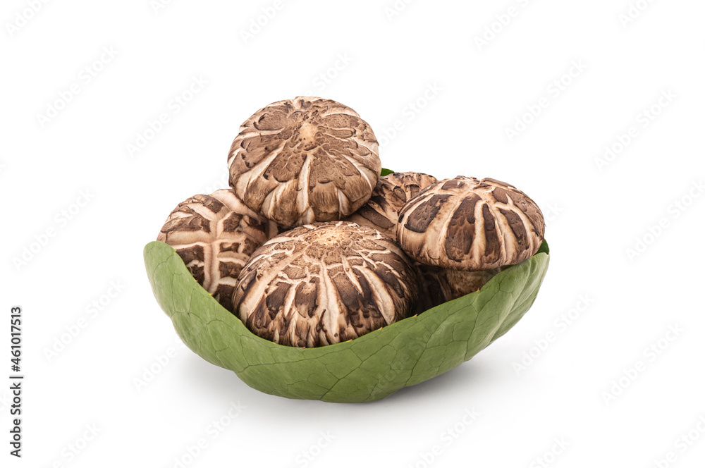 Fresh shiitake isolated on white surface with clipping path. Fresh shiitake isolated on white surface with clipping path.