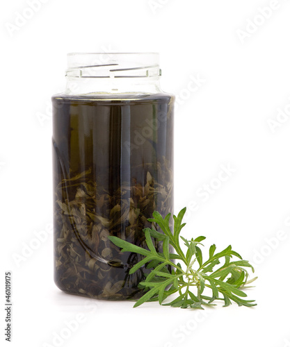 Mugwort branch green leaves and extract isolated on white background. photo