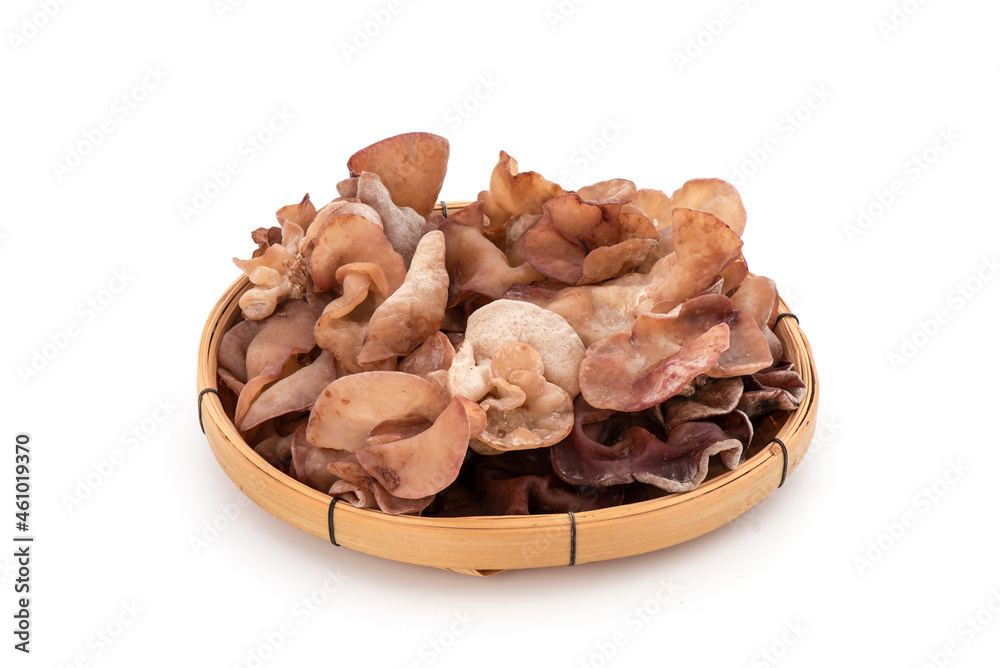Jelly ear mushrooms isolated on white background. Jelly ear mushrooms isolated on white background.