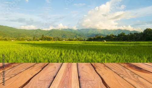 Landscape Beautiful natural scenery of a green rice field during the rainy season