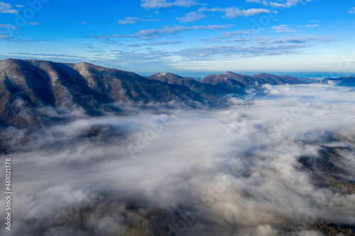 Drone view of the fog above mountain forest on sunny winter day. Gelendzhik  Krasnodar Krai  Russia.