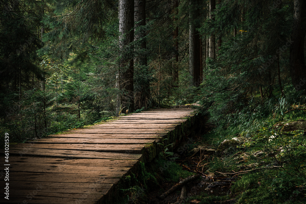 Obraz premium Kleiner Arbersee Bayerischer Wald